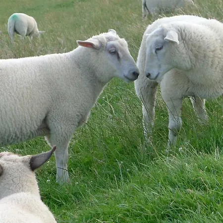 Wattenblick Апартаменты *