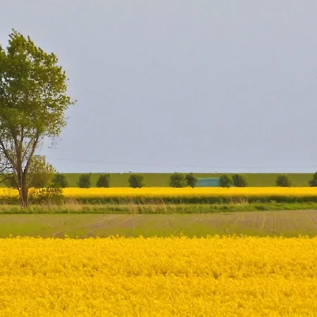 Wattenblick